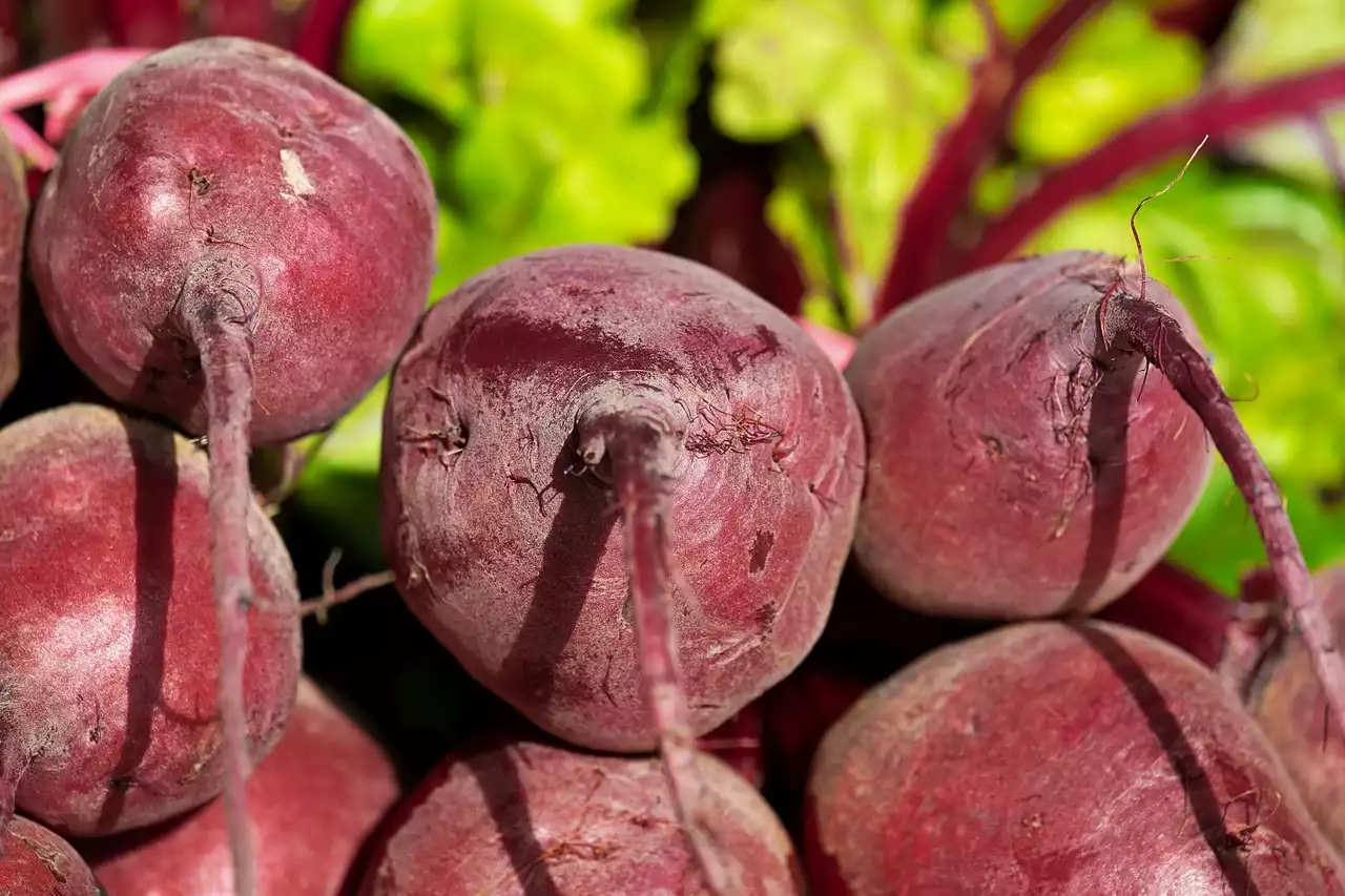 Veganisme en atletische prestaties: kun je spieren opbouwen met een plantaardig dieet?